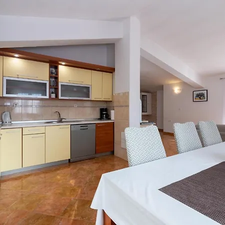 Nice In With Kitchen Apartmán Maslenica
